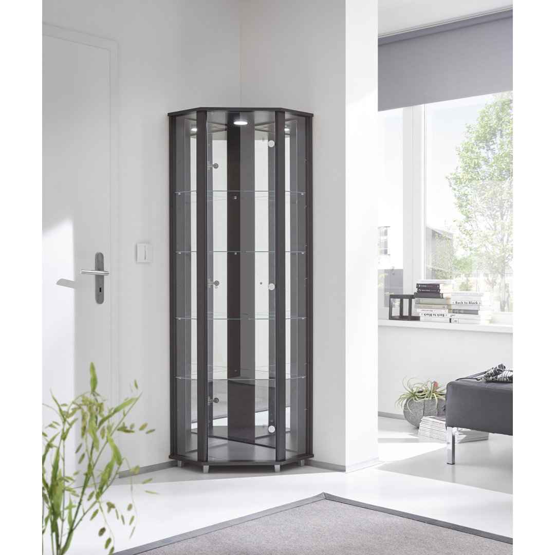 Elizel Corner Curio Cabinet with Lighting