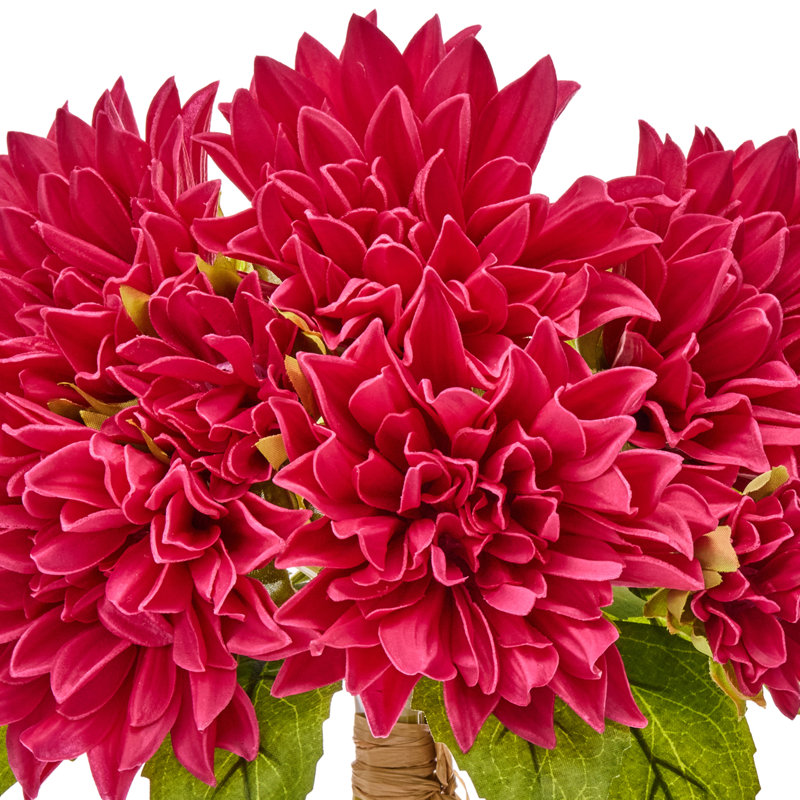 Ensemble de dahlia 14 "Pu Summer, Ensemble de dahlia rose vif chaud