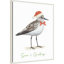 «Christmas Sandpiper I» par Lucca Sheppard, reproduction d'art sur toile encadrée