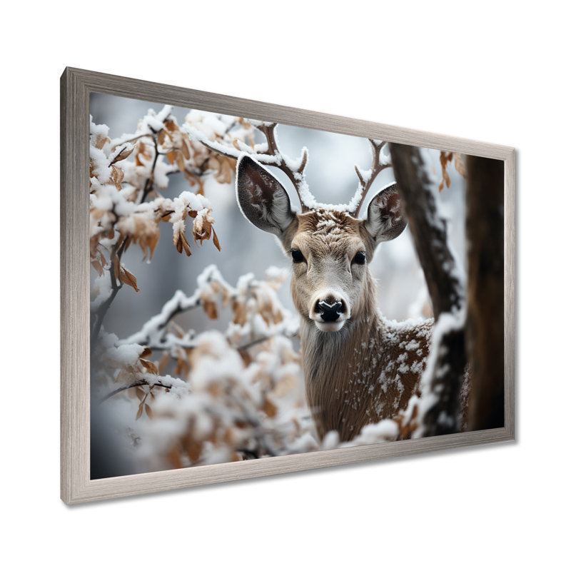 Winter Deer Monochrome Photography I - Animals Wall Art Prints, H 34 po x l 44 po x P 1,5 po, Cadre simple argenté