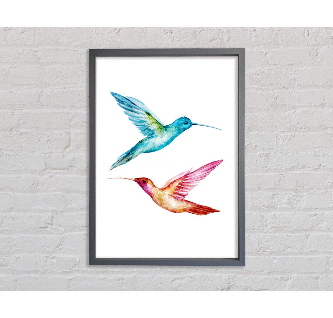 Hummingbird Duo - Einzelner Bilderrahmen Kunstdrucke auf Leinwand