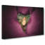 Clownfish & Sea Anemone - Wrapped Canvas-55370761