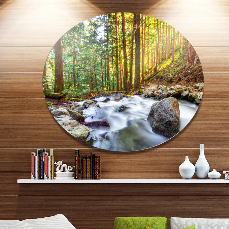 «Creek Flowing Through Forest», reproduction de photo sur métal, H 36 po x l 36 po