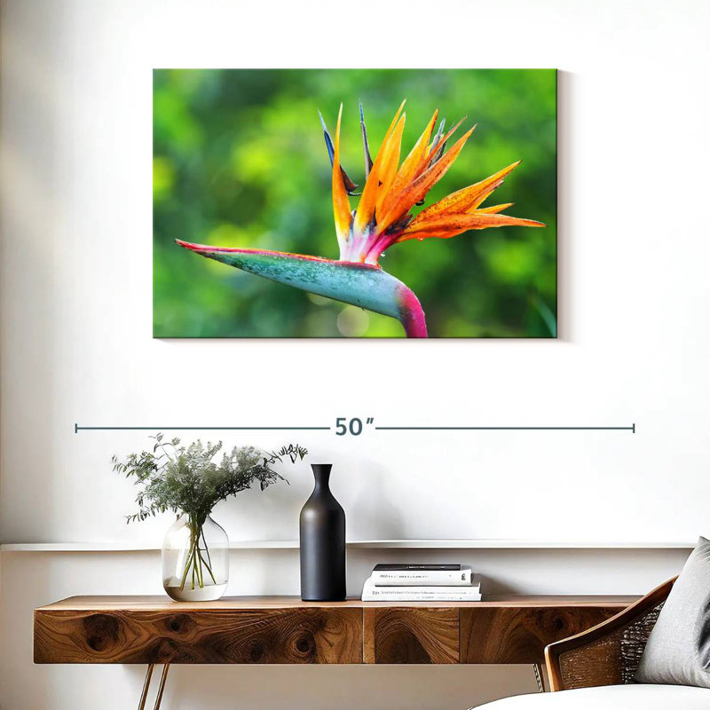 Fleur Harnek, oiseau du paradis