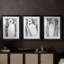 ANIMALS Series CECLxxIV - Impression encadrée sur mesure de qualité supérieure - 3 pièces-1414837596-1414837597