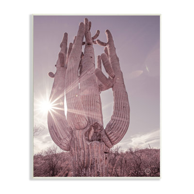 Désert soleil, cactus, paysage, fusée solaire, photographie de ferme grise surdimensionnée, encadré par estampe numérique, art texturé par Nathan Larson