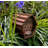 Ehsan Hanging Bumblebee House