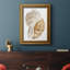 Coquillage I - reproduction d'art sur toile-339200035