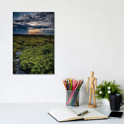 USA, West Virginia, Blackwater Falls State Park. Tree and landscape at sunset. 1 Piece Wrapped Canvas Wall Art