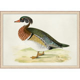 Plumage 5 Painting