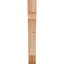 Attelle de genou olympique-29309935-31230592-70294225