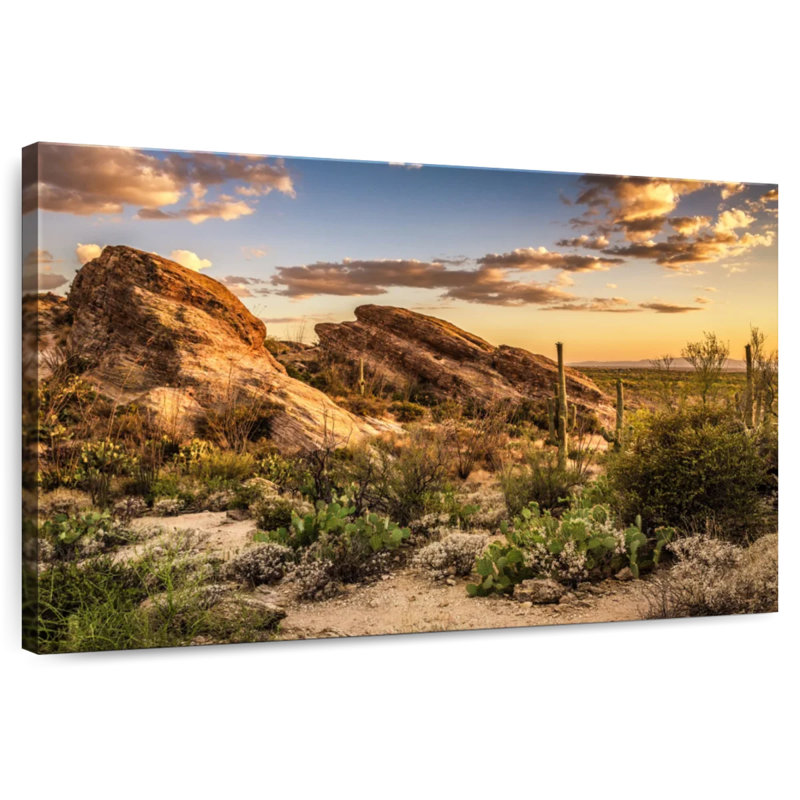 Alvord Javelina Rock Desert Scene, 8" H x 12" W