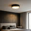 11.8in 24W LED FLush Mount Ceiling Light