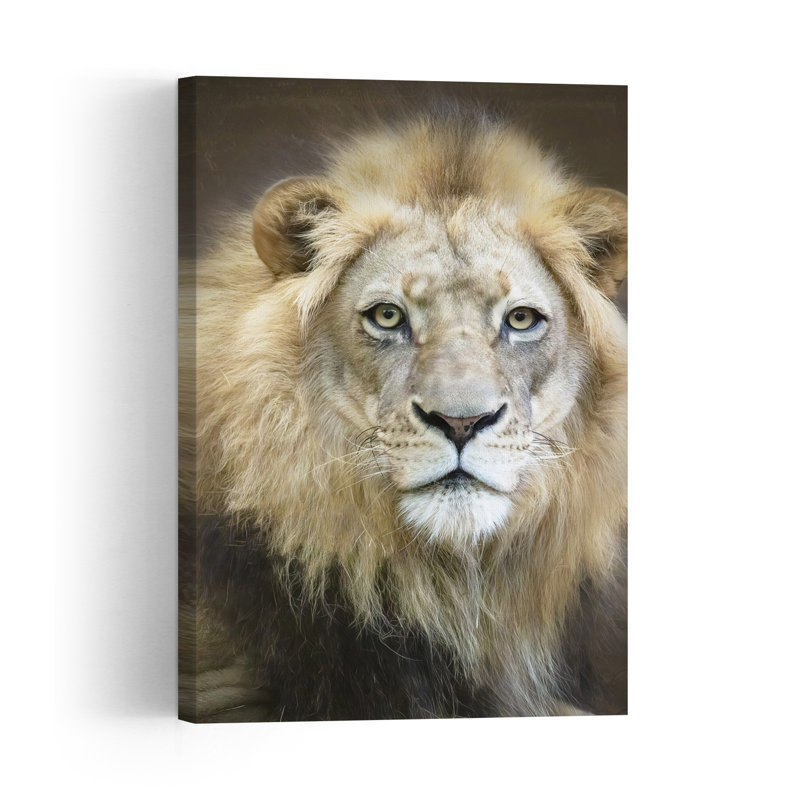 Affiche murale contemporaine représentant un lion majestueux au regard architectural, H 24 po x l 16 po