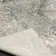 Animal Print Indoor Rug