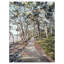 River Path - impression sur toile tendue