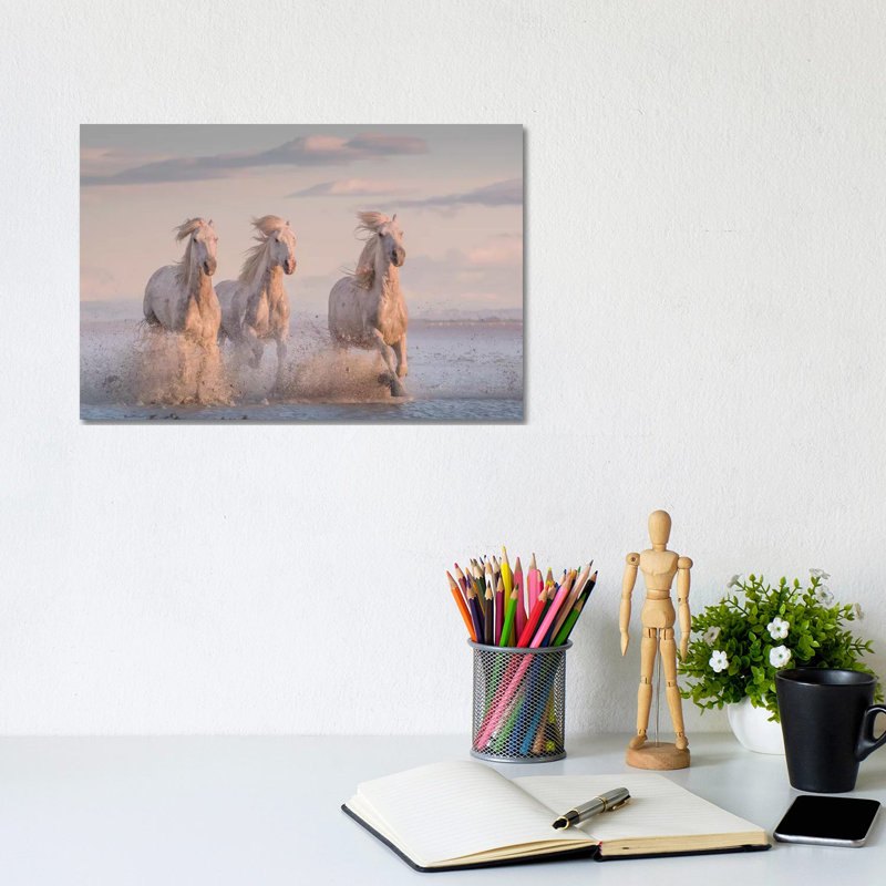 White Angels of Camargue XXXVI 1 Piece Wrapped Canvas Wall Art, 20.32 cm H x 30.48 cm W