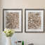 Barnwood Bloom I-ensemble de 2 reproductions d’art graphique encadrées sur papier