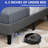 Kestra Upholstered Platform Bed-581449686-581449685