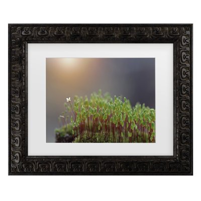 Bolog Dimitar Lazarov Spring Flower Blooms Matted Framed Art