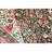 Hand Knotted Wool Indoor Rug