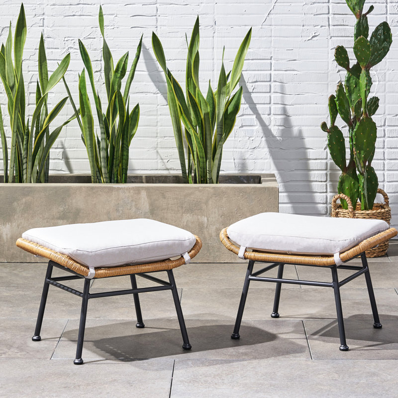 Sièges d'extérieur à la mode et polyvalents - beige et brun, fer et plastique, coussins, multi-usages, structure en acier d'assemblage moderne, coussins d'eau avec attaches, décoration