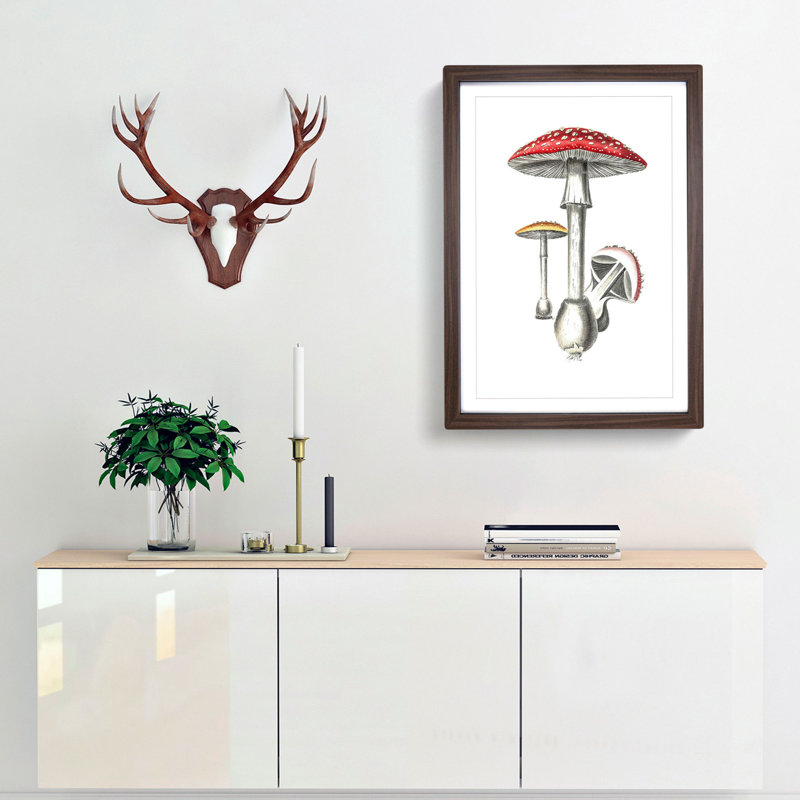 Amanita Muscaria Mushroom Illustration - Single Picture Frame Painting, 63cm H x 45cm W x 2cm D, Walnut Framed