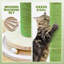 Grattoir pour chat 37 po H 37 po