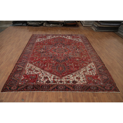 Vintage Red Vegetable Dye Traditional Area Rug 10x13