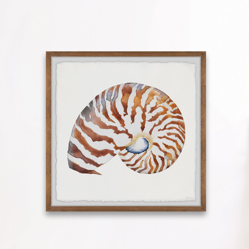 «Tiger Shell», reproduction encadrée, H 32 po x l 32 po x P 1,5 po