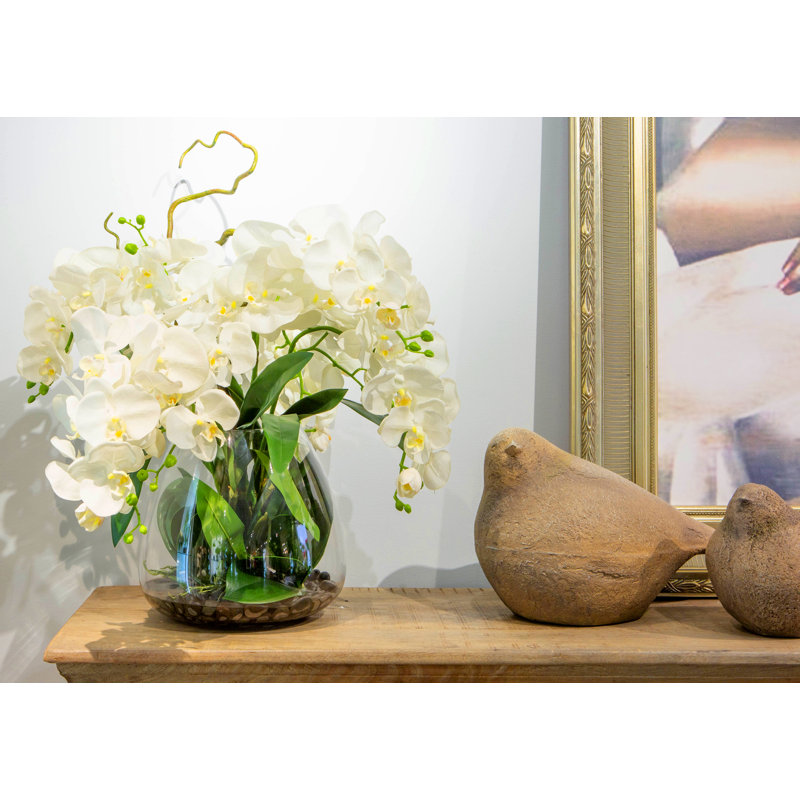 Arrangement floral orchidée phalaenopsis dans un vase en verre