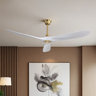 60'' Ceiling Fan