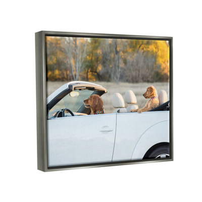 Ba-359-Floater Dogs Drive Convertible, reproduction d'art sur toile
