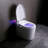 Tankless Smart One-Piece Toilet With Built In Bidet Auto Flush, Auto Open/Close,Heated Seat, Bubble Wash,Warm Water And Dry, Adjustable Temp, Remote Control