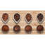 Giacamo Area Rug-281136185
