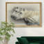 «Curiosity» - Cadre photo, impression sur toile-919158622-919158623