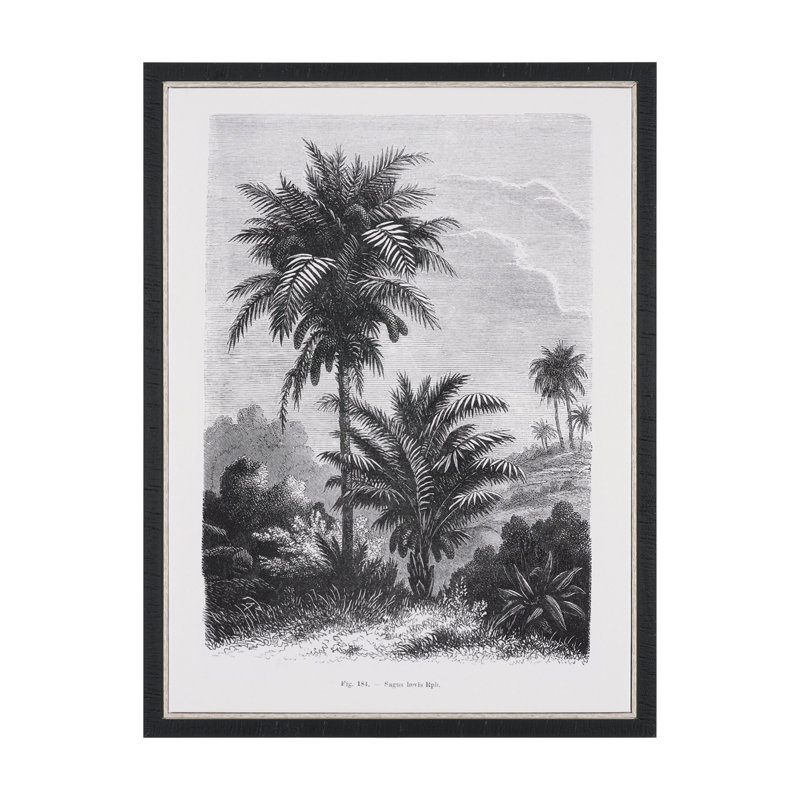 «Vintage Palm Tree Dessin I» par Les Palmiers, histoire, toile encadrée texturée, Dessin de palmier rétro V