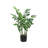 Artificial Zamiifolia ZZ Plant in Pot