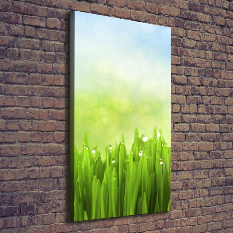 Grass - Wrapped Canvas Print