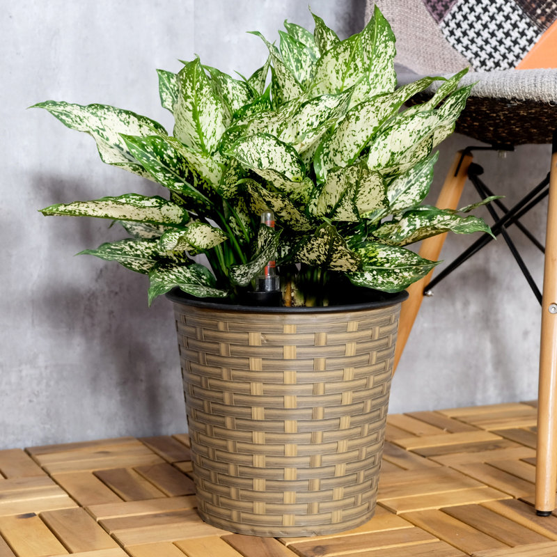 Jardinière décorative auto-arrosante de 13,4 po - naturelle pour l'intérieur et l'extérieur selon les changements de temps Méthode d'installation simple avec processus d'assemblage facile
