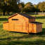 Grand poulailler en bois 70 ＂-47920192