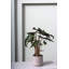 Parsons Handmade Ceramic Pot Planter-366189973-366189968