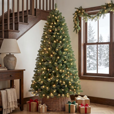 50 H Christmas Tree