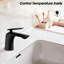 Robinet de salle de bain noir mat, robinet en laiton à poignée simple avec finition rouille pour lavabo et robinet de lavabo, armoire à température de trou