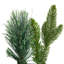 Real Touch Calloway Fir With Berries Artificial Christmas Garland - 7' X 12" - Unlit