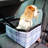 Pet Carrier