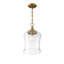 Luminaire suspendu en forme de cloche à 1 lumière en laiton naturel Pinedale-1390480727