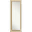 Miroir pleine grandeur Wyrick on the Door-712616265-712616271