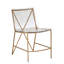 Chaise Johnson