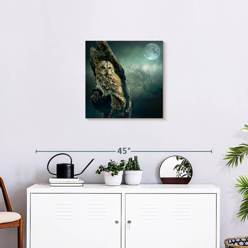 Brampt Owl At Night, 20" H x 20" W